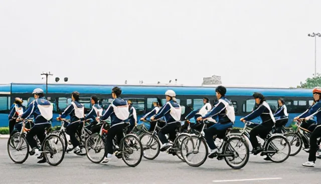 体系完善与师资力量保障的选择依据